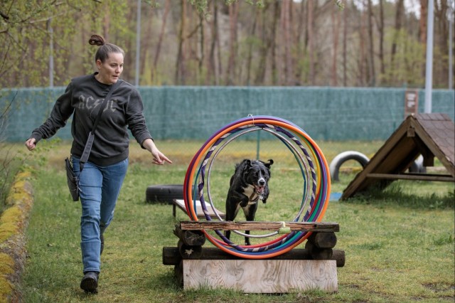 Army Dog Trainer Proves Anything is Paws-sible