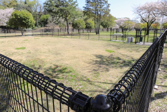 Three dog runs recently opened as part of a new quality-of-life project at Camp Zama, Japan, April 10, 2024. The project was a yearlong effort to revamp a vacant area in the former Hawk’s Way housing area, which also includes a nearly half-mile walking path for community members.