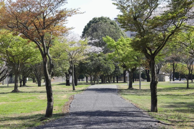 A variety of trees line a walking path that was recently built as part of a new quality-of-life project that also included three dog runs at Camp Zama, Japan, April 10, 2024.